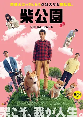 图片识别软件