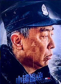 丰满少妇被猛烈进入高清在线观看